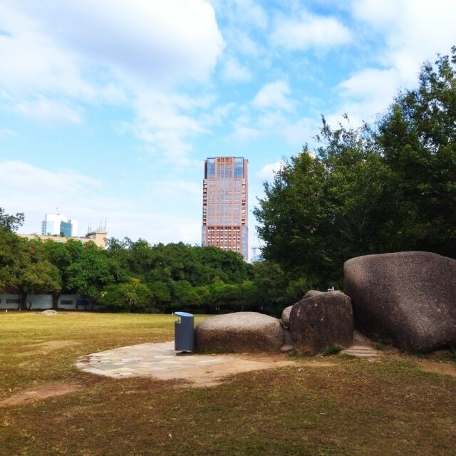 POCO Fotocamera principale M3 (14) 