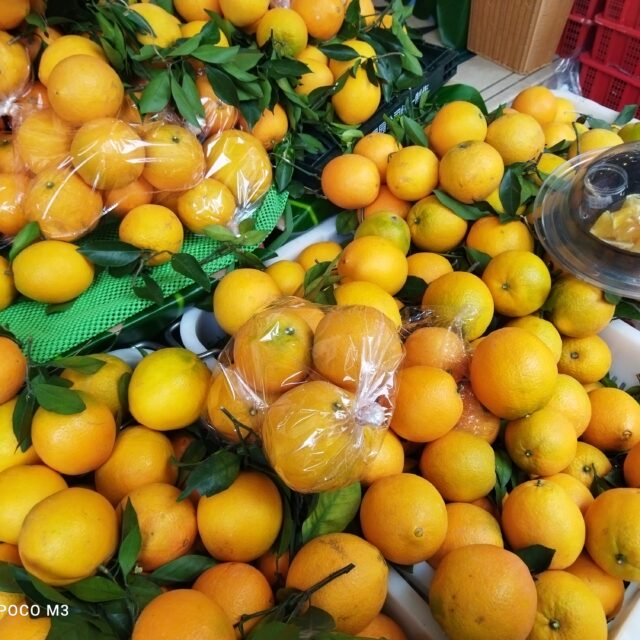 POCO Fotocamera principale M3 (3) 